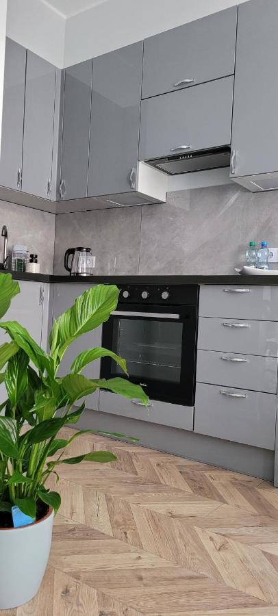 Apartament Srebrny Lägenhet Grudziądz Exteriör bild